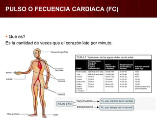 PULSO O FECUENCIA CARDIACA (FC)
Qué es?
Es la cantidad de veces que el corazón late por minuto.