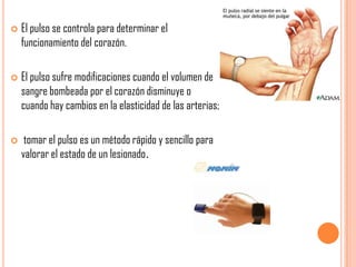 





El pulso se controla para determinar el
funcionamiento del corazón.
El pulso sufre modificaciones cuando el volumen de
sangre bombeada por el corazón disminuye o
cuando hay cambios en la elasticidad de las arterias;
tomar el pulso es un método rápido y sencillo para
valorar el estado de un lesionado.

 