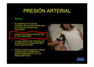 PRESIÓN ARTERIAL
• Técnica
• El aparato (en el caso de
columnas de mercurio) debe estar
a la altura de los ojos del
observador.
• Colocar el manguito dejando libre
la fosa antecubital.
• La cara anterior del manguito con
la salida de las mangueras debe
mirar hacia el frente
• Palpar la arteria braquial y colocar
suavemente el estetoscopio
aproximadamente a 2 cm. por
debajo del brazal.
Volver
 