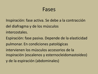 Fases
Inspiración: fase activa. Se debe a la contracción
del diafragma y de los músculos
intercostales.
Espiración: fase pasiva. Depende de la elasticidad
pulmonar. En condiciones patológicas
intervienen los músculos accesorios de la
inspiración (escalenos y esternocleidomastoideo)
y de la espiración (abdominales)
 