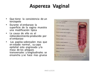 Aspereza Vaginal
• Que tiene la consistencia de un
terciopelo
• Durante el embarazo la
superficie de la vagina muestra
una modificación típica
• La causa de ello es el
reblandecimiento producido por
el embarazo
• Las papilas sobresalen mas que
en estado normal , su capa
epitelial esta engrosada y la
masa de los pliegues
transversales y longitudinales se
ensancha y se hace mas gruesa
IRMA ILLESCAS
 