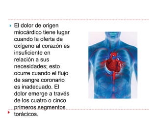    El dolor de origen
    miocárdico tiene lugar
    cuando la oferta de
    oxígeno al corazón es
    insuficiente en
    relación a sus
    necesidades; esto
    ocurre cuando el flujo
    de sangre coronario
    es inadecuado. El
    dolor emerge a través
    de los cuatro o cinco
    primeros segmentos
    torácicos.
 