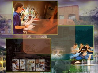 Signos Y SíMbolos Usb