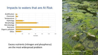 Acidification
Chemicals
Temperature
Hydrology
Morphology
Microbiology
Nutrients
Organic pollution
Other
Impacts to waters that are At Risk
Excess nutrients (nitrogen and phosphorus)
are the most widespread problem
Poor status, Broadmeadow, Fingal.
Photo: W. Trodd
 