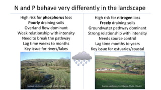 High risk for phosphorus loss
Poorly draining soils
Overland flow dominant
Weak relationship with intensity
Need to break the pathway
Lag time weeks to months
Key issue for rivers/lakes
High risk for nitrogen loss
Freely draining soils
Groundwater pathway dominant
Strong relationship with intensity
Needs source control
Lag time months to years
Key issue for estuaries/coastal
N and P behave very differently in the landscape
Mattock catchment, Co. Louth. Photo: J Deakin Nuenna catchment, Co. Kilkenny. Photo: J Deakin
 
