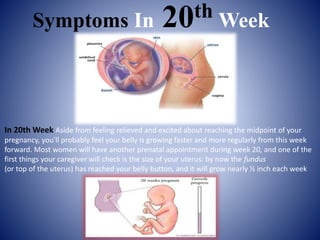 Signs And Symptoms Of 24 Weeks Pregnant What To Expect Now