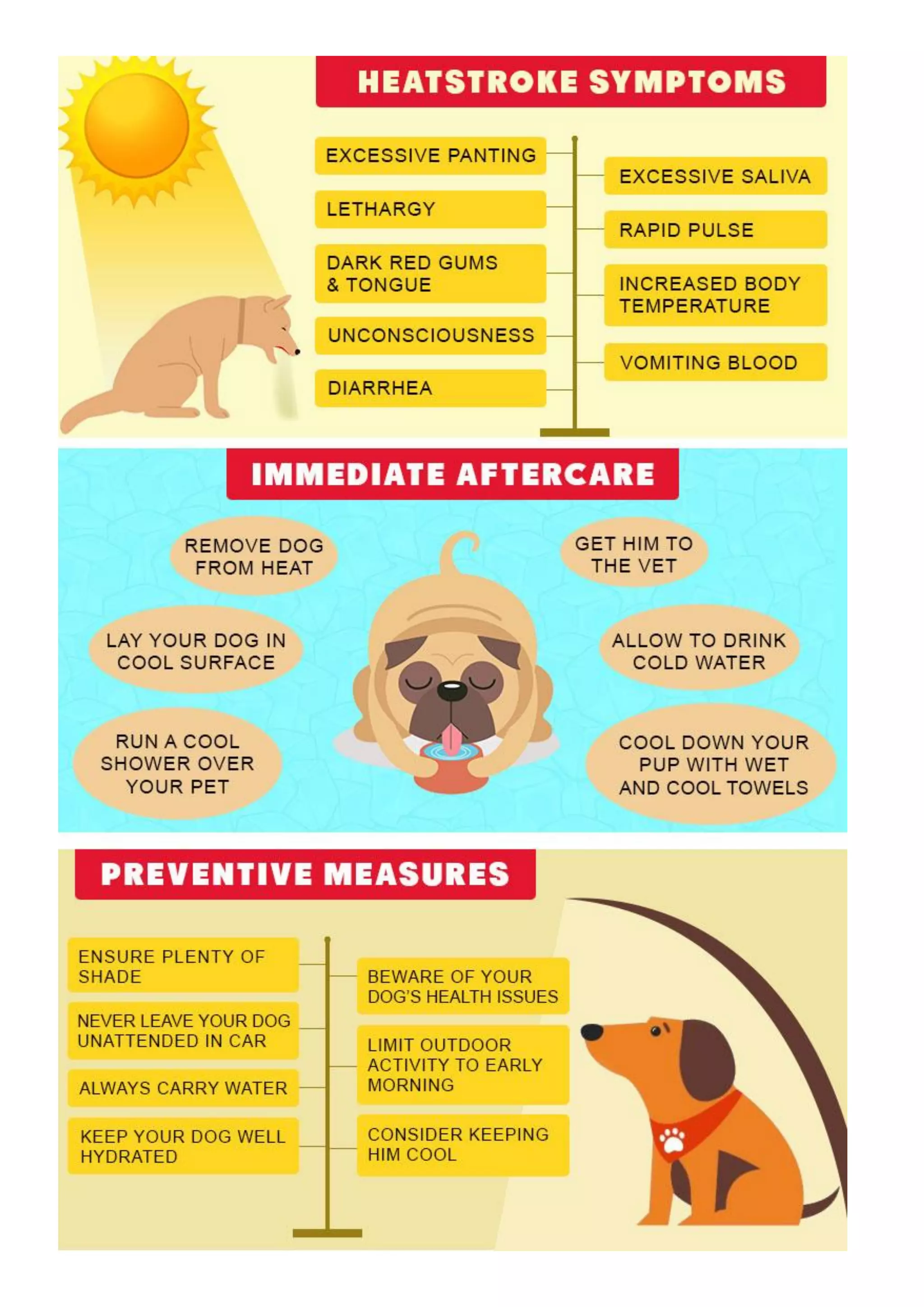 Signs, aftercare & prevention of heatstroke in dogs | PDF - Heatstroke Prevention In Dogs With Diet And Watermelon