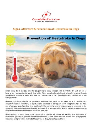 Signs, Aftercare & Prevention of Heatstroke In Dogs
Bright sunny day is the best time for pet-parents to enjoy outdoors with their Fido. It’s such a boon to
have a furry companion to spent time with. Either completely relaxing at a beach, jumping through
sprinklers or planning a travel with your pet, summertime is the great opportunity to have fun in sun
with your Fido.
However, it is imperative for pet parents to also know that sun is not all about fun as it can also be a
danger in disguise. Therefore, as a pet parent, you need to be vigilant about recognizing how the heat
can affect your pup. Spending time outdoors in the scorching summer requires you to be aware of the
symptoms that cause heatstroke in dogs. Moreover, it is also crucial for you to know the preventions in
order to beat the heat even before it catches your pup.
Unfortunately, if your dog’s body temperature reaches 40 degree or exhibits the symptoms of
heatstroke, you should provide immediate treatment. Check below to have a clear idea of symptoms,
treatment and prevention method of heatstroke in dogs, let’s check-out how.
 