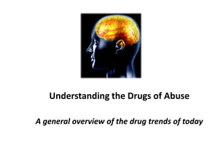 Understanding the Drugs of Abuse

A general overview of the drug trends of today
 