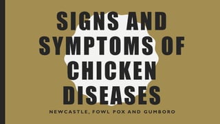 SIGNS AND
SYMPTOMS OF
CHICKEN
DISEASESN E W C A S T L E , F OW L P OX A N D G U M B O R O
 