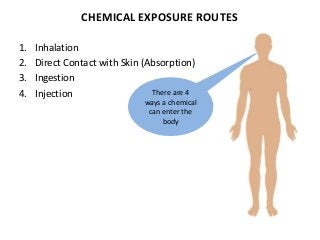 CHEMICAL EXPOSURE ROUTES
1. Inhalation
2. Direct Contact with Skin (Absorption)
3. Ingestion
4. Injection There are 4
ways a chemical
can enter the
body
 