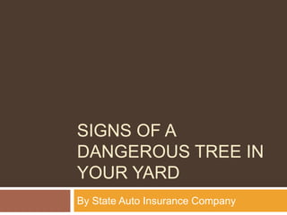 SIGNS OF A
DANGEROUS TREE IN
YOUR YARD
By State Auto Insurance Company
 