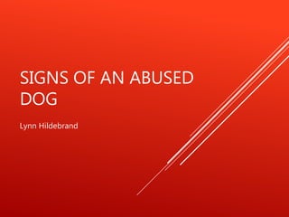 SIGNS OF AN ABUSED
DOG
Lynn Hildebrand
 