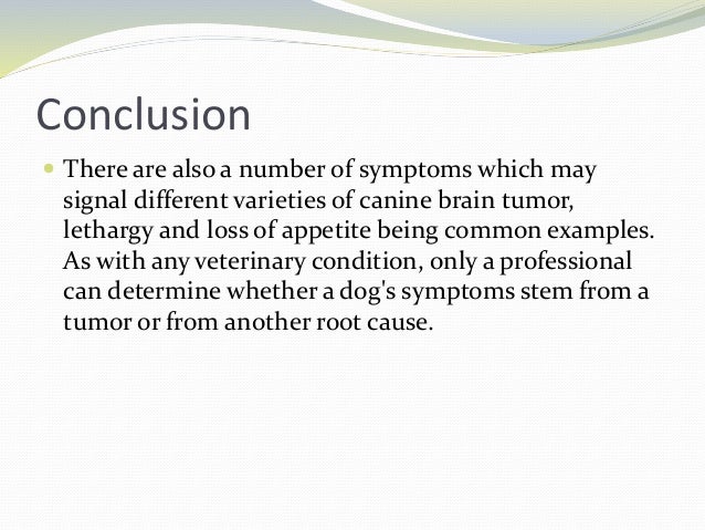 signs of brain tumor in dogs signs of brain tumors in dogs signs of brain tumor in dogs signs of brain tumors in dogs