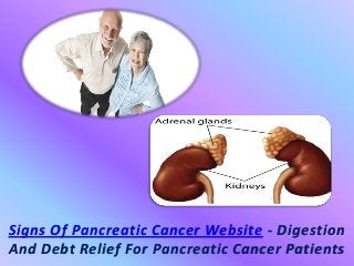 Signs Of Pancreatic Cancer Website - Digestion
And Debt Relief For Pancreatic Cancer Patients
 