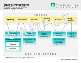 Signs of Progression
Phases of Progress and Their Key
Phases of Progress        Their
Indicators during Child Birth
Indicators




                                                                   E
                                                    P H A S E S




                                                                 L
                                                               Cervical                             Baby's
   Ripening            Effacement               Dilation                    Rotation




                                                               P
                                                               Position                             Station




         A M
       S
       cramps that                      early                regular,       pelvic floor              bag of
       come and go                   contractions           rhythmic         pressure                 waters
                                                           contractions                              breaking*
  progesterone release,            blood-tinged mucus                      backache causing
    which also causes:               (bloody show or                          restlessness
                                       mucus plug)                          (a need to keep
         nausea                                                           changing positions)


        diarrhea


                                     K E Y           I N D I C A T O R S
  *Other factors may cause the bag of waters to break.
  *Other factors may cause the bag of waters to break.
                                                                                       © 2012 Rachel Leavitt, RN BNS CD
                                                                                       © 2012 Rachel Leavitt, RN BNS CD
 