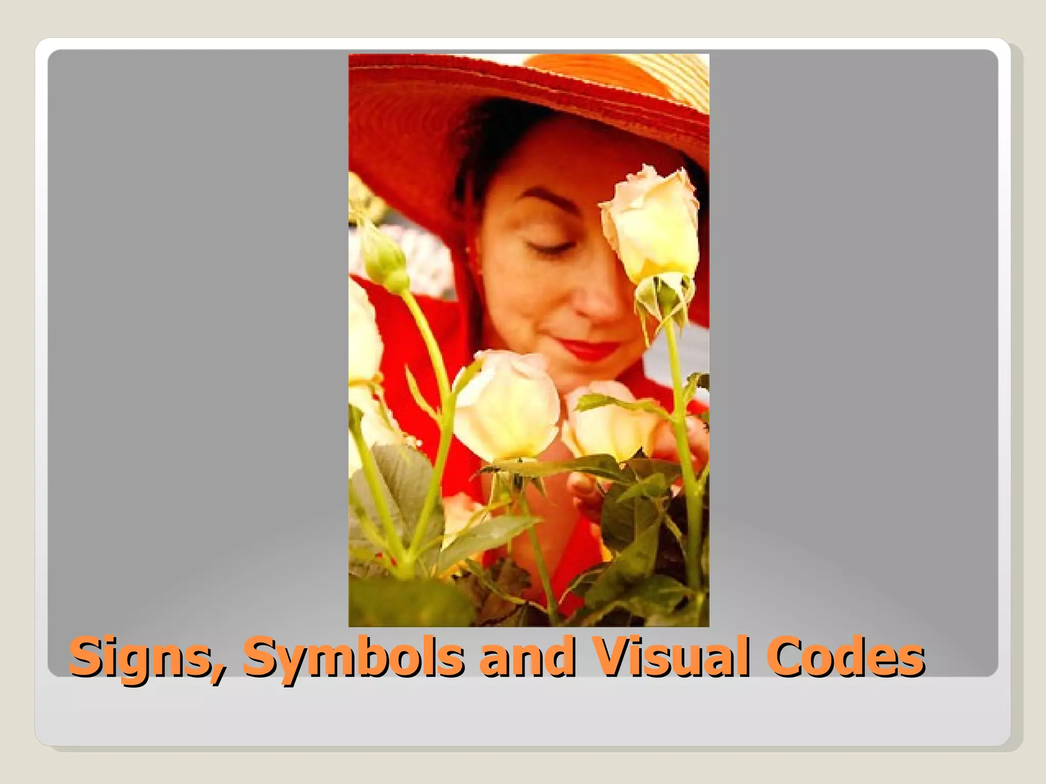 Signs, Symbols and Visual Codes 