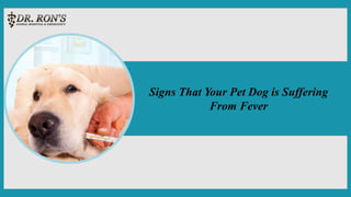 Signs That Your Pet Dog is Suffering
From Fever
 