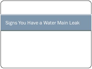 Signs You Have a Water Main Leak
 