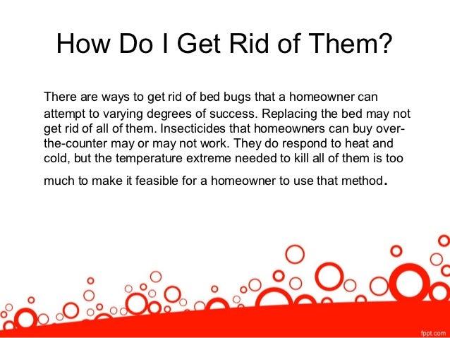 Signs You May Have Bed Bugs Signs You May Have Bed Bugs