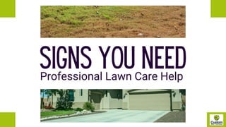 Signs You Need Professional Lawn Care Help.pptx