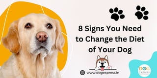 www.dogexpress.in
8 Signs You Need
to Change the Diet
of Your Dog
 