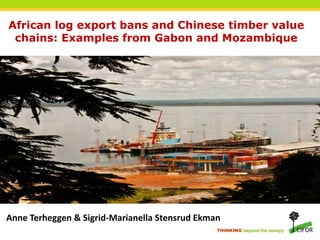 THINKING beyond the canopy
African log export bans and Chinese timber value
chains: Examples from Gabon and Mozambique
Anne Terheggen & Sigrid-Marianella Stensrud Ekman
Anne Terheggen & Sigrid-Marianella Stensrud Ekman
 