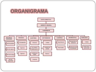 ORGANIGRAMA
 
