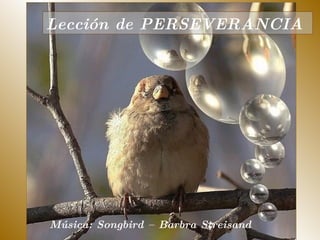 Lección de PERSEVERANCIA  Música: Songbird – Barbra Streisand  