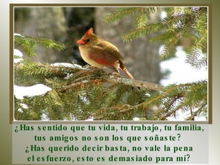 ¿Has sentido que tu vida, tu trabajo, tu familia,  tus amigos no son los que soñaste?  ¿Has querido decir basta, no vale la pena  el esfuerzo, esto es demasiado para mí?  