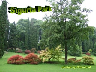 Sigurta Park p hotos by Cristina M 