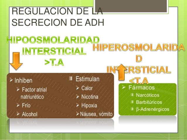 regulación de la diabetes de secreción adh