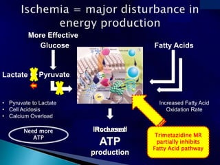 Glucose
Lactate Pyruvate
Fatty Acids
Reduced
ATP
production
• Pyruvate to Lactate
• Cell Acidosis
• Calcium Overload
Increased Fatty Acid
Oxidation Rate
Need more
ATP Trimetazidine MR
partially inhibits
Fatty Acid pathway
Increased
ATP
production
More Effective
 