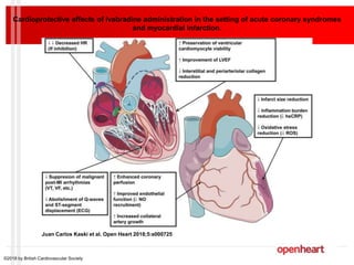 Cardioprotective effects of ivabradine administration in the setting of acute coronary syndromes
and myocardial infarction.
Juan Carlos Kaski et al. Open Heart 2018;5:e000725
©2018 by British Cardiovascular Society
 