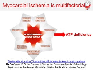Myocardial ischemia is multifactorial
The benefits of adding Trimetazidine MR to beta-blockers in angina patients
By Professor F. Pinto. President-Elect of the European Society of Cardiology,
Department of Cardiology, University Hospital Santa Maria, Lisboa, Portugal
ATP deficiency
 