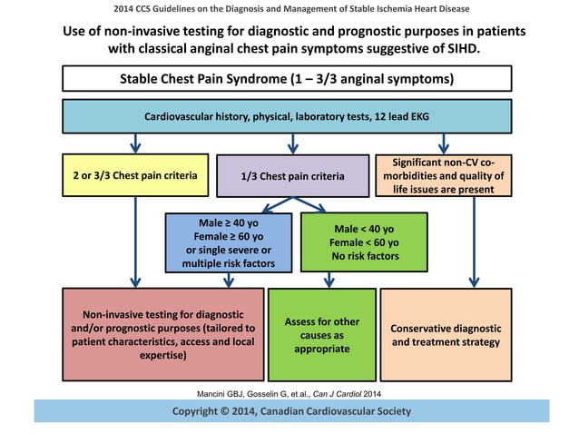 Stable Ischemic Heart Disease Guideline | PPT
