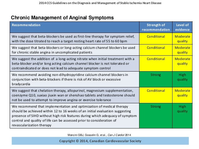 Stable Ischemic Heart Disease Guideline