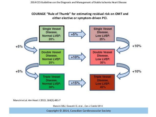 Stable Ischemic Heart Disease Guideline