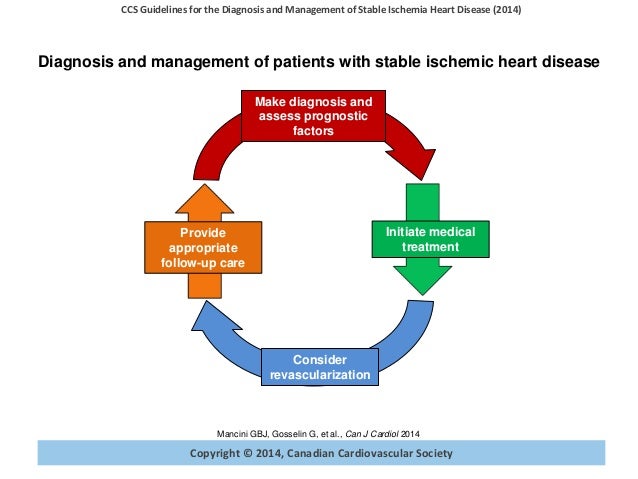 Stable Ischemic Heart Disease Guideline