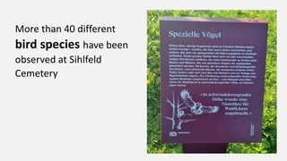 More than 40 different
bird species have been
observed at Sihlfeld
Cemetery
 