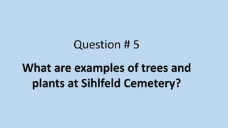 Question # 5
What are examples of trees and
plants at Sihlfeld Cemetery?
 