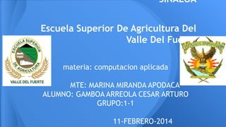 SINALOA
Escuela Superior De Agricultura Del
Valle Del Fuerte
materia: computacion aplicada
MTE: MARINA MIRANDA APODACA
ALUMNO: GAMBOA ARREOLA CESAR ARTURO
GRUPO:1-1
11-FEBRERO-2014

 