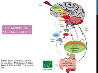 EJE MICROBIOTA-
VÍSCERAS-CEREBRO
Irritable Bowel Syndrome. A Clinical
Review. Chey, W. Kurlander, J. JAMA
March 3, 2015. vol. 313. N° 9, pp 949-
958.
 