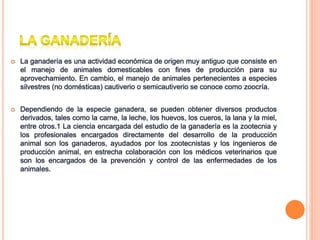  La ganadería es una actividad económica de origen muy antiguo que consiste en
el manejo de animales domesticables con fines de producción para su
aprovechamiento. En cambio, el manejo de animales pertenecientes a especies
silvestres (no domésticas) cautiverio o semicautiverio se conoce como zoocría.
 Dependiendo de la especie ganadera, se pueden obtener diversos productos
derivados, tales como la carne, la leche, los huevos, los cueros, la lana y la miel,
entre otros.1 La ciencia encargada del estudio de la ganadería es la zootecnia y
los profesionales encargados directamente del desarrollo de la producción
animal son los ganaderos, ayudados por los zootecnistas y los ingenieros de
producción animal, en estrecha colaboración con los médicos veterinarios que
son los encargados de la prevención y control de las enfermedades de los
animales.
 