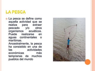  La pesca se define como
aquella actividad que se
realiza para extraer
pescado y/o otros
organismos acuáticos.
Puede realizarse en
aguas continentales o
marítimas.
Ancestralmente, la pesca
ha consistido en una de
las actividades
económicas más
tempranas de muchos
pueblos del mundo
 