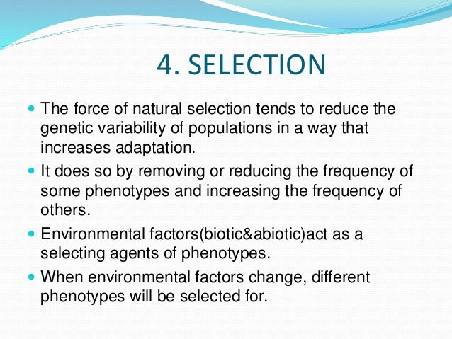 How Does Genetic Variability Impact Natural Selection How Does Genetic Variability Impact Natural Selection