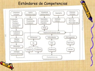Estándares de Competencias
 