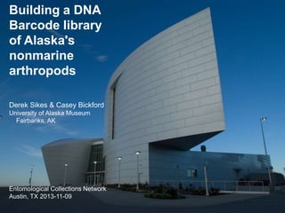 Building a DNA
Barcode library
of Alaska's
nonmarine
arthropods
Derek Sikes & Casey Bickford
University of Alaska Museum
Fairbanks, AK

Entomological Collections Network
Austin, TX 2013-11-09

 