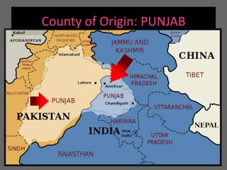 County of Origin: PUNJAB