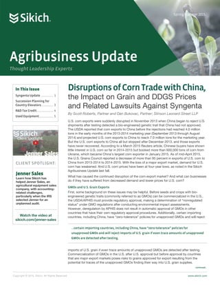 Copyright © 2015, Sikich. All Rights Reserved.							 www.sikich.com
DisruptionsofCornTradewithChina,
the Impact on Grain and DDGS Prices
and Related Lawsuits Against Syngenta
By Scott Roberts, Partner and Dan Bukovac, Partner; Stinson Leonard Street LLP
U.S. corn exports were suddenly disrupted in November 2013 when China began to reject U.S.
shipments after testing detected a bio-engineered genetic trait that China had not approved.
The USDA reported that corn exports to China before the rejections had reached 4.0 million
tons in the early months of the 2013-2014 marketing year (September 2013 through August
2014) and projected U.S. corn exports to China to reach 7.0 million tons for the marketing year.
But the U.S. corn exports to China all but stopped after December 2013, and those exports
have never recovered. According to a March 2015 Reuters article, Chinese buyers have shown
little interest in U.S. corn so far in 2014-2015 but booked more than 600,000 tons of corn from
Ukraine, which became China’s largest corn exporter in January 2015. As of mid-April 2015,
the U.S. Grains Council reported a decrease of more than 95 percent in exports of U.S. corn to
China from 2013-2014 to 2014-2015. With the loss of a major export market, demand for U.S.
corn has weakened. And U.S. corn prices have been at four-year lows, as noted in the Sikich
Agribusiness Update last fall.
What has caused the continued disruption of the corn export market? And what can businesses
do if they have suffered from decreased demand and lower prices for U.S. corn?
GMOs and U.S. Grain Exports
First, some background on these issues may be helpful. Before seeds and crops with bio-
engineered genetic traits (commonly referred to as GMOs) can be commercialized in the U.S.,
the USDA/APHIS must provide regulatory approval, making a determination of “nonregulated
status” under GMO regulations after conducting environmental impact assessments.
However, deregulation by APHIS does not result in automatic approval of GMOs in other
countries that have their own regulatory approval procedures. Additionally, certain importing
countries, including China, have “zero-tolerance” policies for unapproved GMOs and will reject
imports of U.S. grain if even trace amounts of unapproved GMOs are detected after testing.
Commercialization of GMOs in the U.S. after U.S. approval but before approval by countries
that are major export markets poses risks to grains approved for export resulting from the
potential for traces of the unapproved GMOs finding their way into U.S. grain supplies.
In This Issue
Syngenta Update.................... 1
Succession Planning for
Country Elevators................... 3
R&D Tax Credit.......................... 4
Used Equipment...................... 5
CLIENT SPOTLIGHT:
Jenner Sales
Learn how Sikich has
helped Jenner Sales, an
agricultural equipment sales
company, with accounting-
related challenges,
particularly when the IRS
selected Jenner for an
unplanned audit.
Watch the video at
sikich.com/jenner-sales
Agribusiness Update
Thought Leadership Experts
Spring/Summer 2015
...certain importing countries, including China, have “zero-tolerance” policies for
unapproved GMOs and will reject imports of U.S. grain if even trace amounts of unapproved
GMOs are detected after testing.
continued...
 